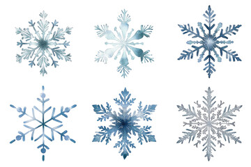 Fototapeta premium Six stylized snowflakes, varying in detailed, light-gray, icy design, arranged in a grid