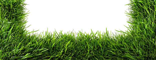 Close-up view of a lush green grass field, with a dark background