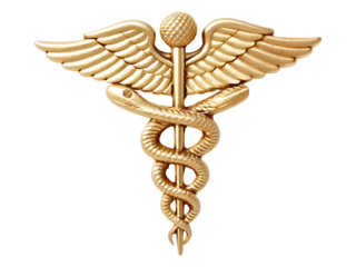 Golden Caduceus Medical Symbol with Wings and Single Snake healthcare medicine isolated on a transparent background