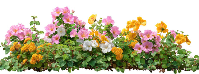 Colorful flower border with pink, white, and yellow blossoms