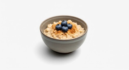A healthy and delicious breakfast option featuring a bowl of creamy oatmeal sprinkled with cinnamon and topped with fresh blueberries, perfect for a nutritious start to the day .