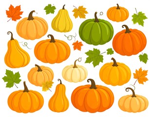 Colorful pumpkin and gourd autumnal illustration