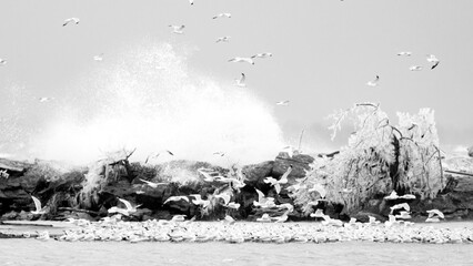 waves crashing against breakwall during a storm with ice crystals present