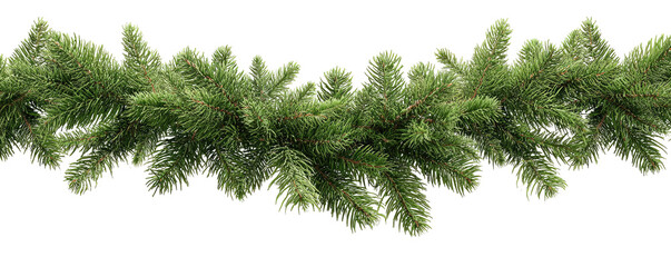 Decorative,  green pine garland.  A  long,  dense garland of  pine boughs,  full and  lush