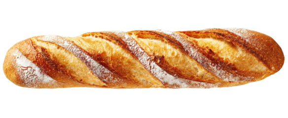 A long loaf of crusty bread