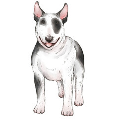 Watercolor Dog Clipart, Hand Painted Puppy PNG, Cute Pet Illustration, Whimsical Watercolor Dogs, Digital Dog Art Elements