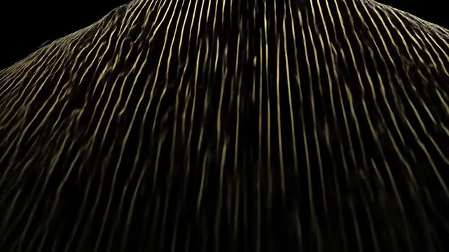 A stylized, golden landscape, featuring undulating forms and parallel lines, creates a dramatic and abstract scene.