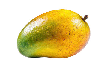 Single ripe mango, vibrant yellow and green