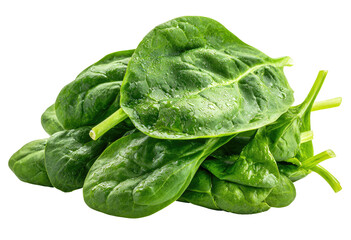 Fresh spinach leaves, close-up