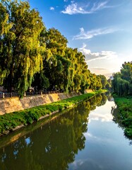 Riverbank lined with trees at sunset