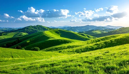 Fototapeta premium Rolling Green Hills Under a Sunny Sky.