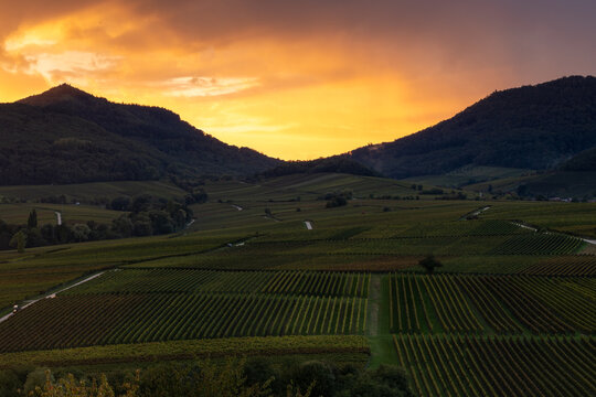 Sonnenuntergang an der Kleinen Kalmit mit Regenfront &uuml;ber dem Pf&auml;lzerwald