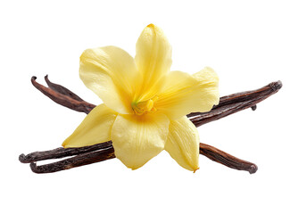 Vanilla flower and pods