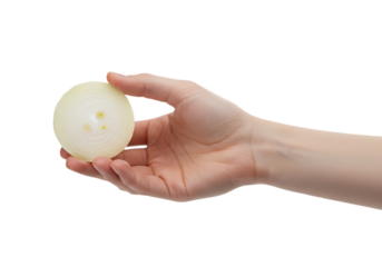 Hand holding a white sphere isolated on transparent background