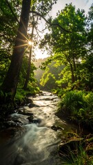 Obraz premium Sunlit forest stream