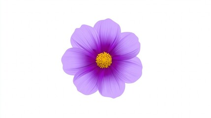 A beautiful purple anemone, pink cosmos, and white daisy flowers are isolated on a white background, highlighting their spring nature and floral beauty