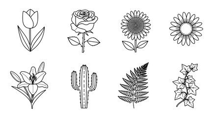 Set of Eight Botanical Illustrations in Outline Style