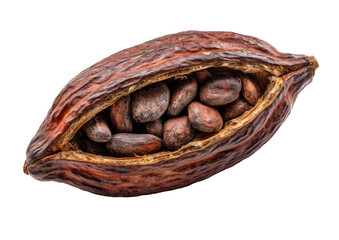 Cocoa pod open, revealing dark beans
