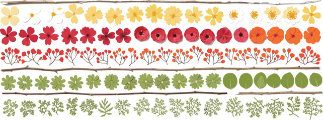 Botanical illustration set of flowers, leaves, buds, herbs, blooming stages, nature elements, plant design, colorful vector garden pack