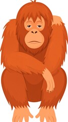 Orange ape sitting, arms crossed