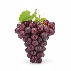 Fototapeta premium Cacho de uvas roxas frescas isolado em fundo branco