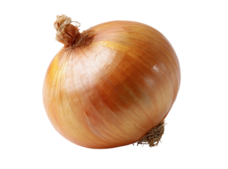 Single, whole onion, light tan/brown skin