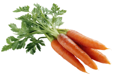 Fresh, vibrant carrots with green tops