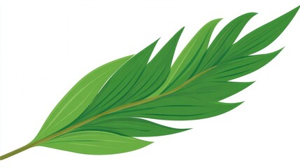 Obraz premium Fresh green leaves and herbs on a branch, isolated on a white background