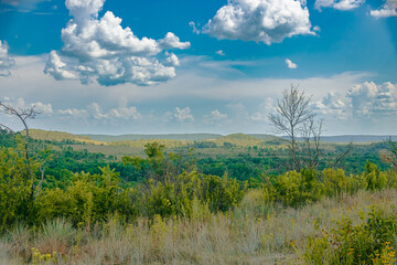 Beautiful natural landscape view of a green valley with lush vegetation under a vibrant blue sky and fluffy clouds, scenic countryside nature photography concept