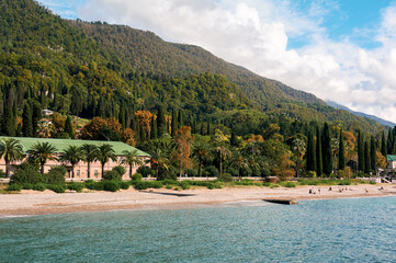 A picturesque Mediterranean bay where towering cypress trees frame a secluded beach, their dark silhouettes contrasting with the turquoise waters and golden sands.