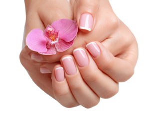 Soft, feminine hands with manicured nails and a delicate pink orchid