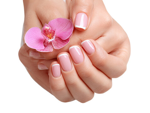 Soft, feminine hands with manicured nails and a delicate pink orchid