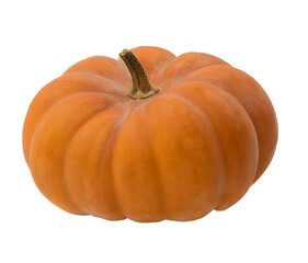 Halloween decor. on transparent,png. Pumpkin.Autumn. Orange pumpkins. Thanksgiving background. Halloween backdrop.