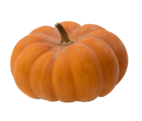 Halloween decor. on transparent,png. Pumpkin.Autumn. Orange pumpkins. Thanksgiving background. Halloween backdrop.