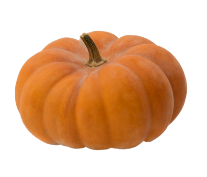 Halloween decor. on transparent,png. Pumpkin.Autumn. Orange pumpkins. Thanksgiving background. Halloween backdrop. - Powered by Adobe