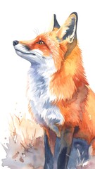 Obraz premium Watercolor fox portrait, looking up