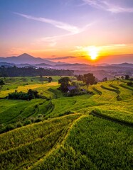 Obraz premium Panoramic sunrise over terraced rice paddies