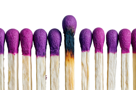 A single burned matchstick stands out among a row of identical purple-tipped matches