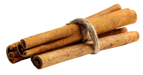 Bundled cinnamon sticks