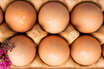 Brown eggs and flowers in a carton.