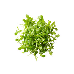 Obraz premium Fresh Baby Arugula Greens, Overhead Shot