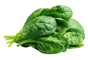 Close-up of fresh spinach leaves (1)