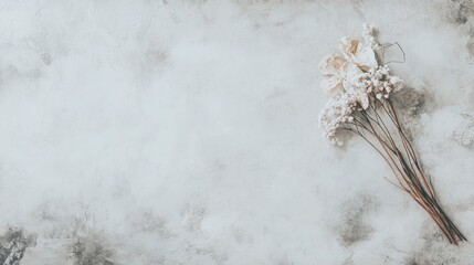Delicate Dried Flowers on Textured Light Grey Background