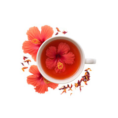 Aromatic Hibiscus Tea with Fresh Flowers in a White Cup
