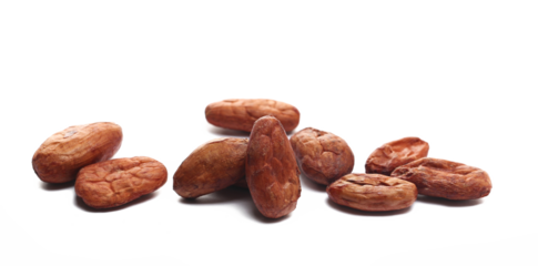 Raw cocoa beans isolated on white background, side view