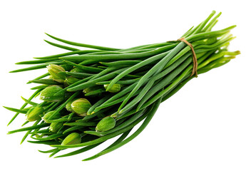 A bunch of fresh green chives