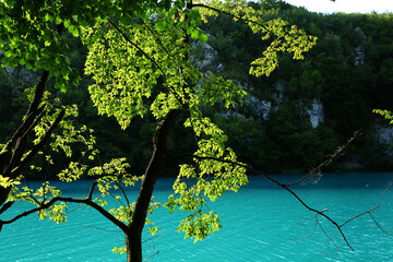 beautiful plivitce water landscapes in croatia