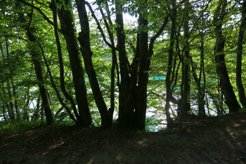 beautiful plivitce water landscapes in croatia