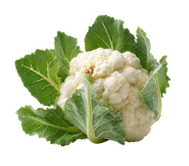 Fresh head of cauliflower with vibrant green leaves