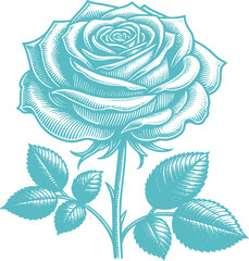 vector illustration of a blue rose